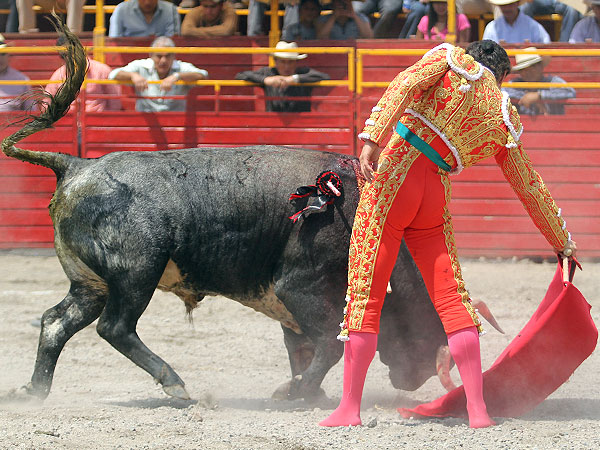 Bajando la muleta
