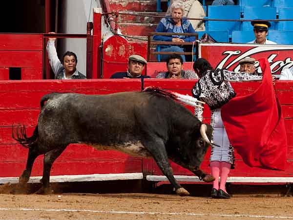 El comienzo, de espaldas