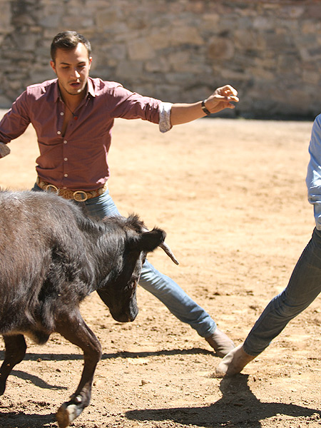 Esquivando la embestida