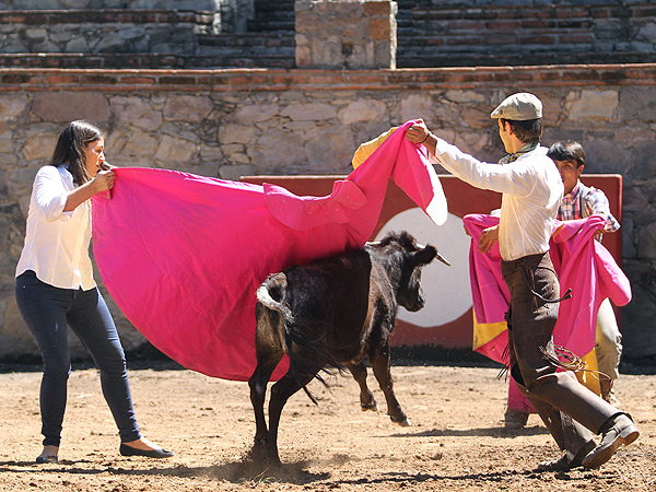 Toreando al alim�n