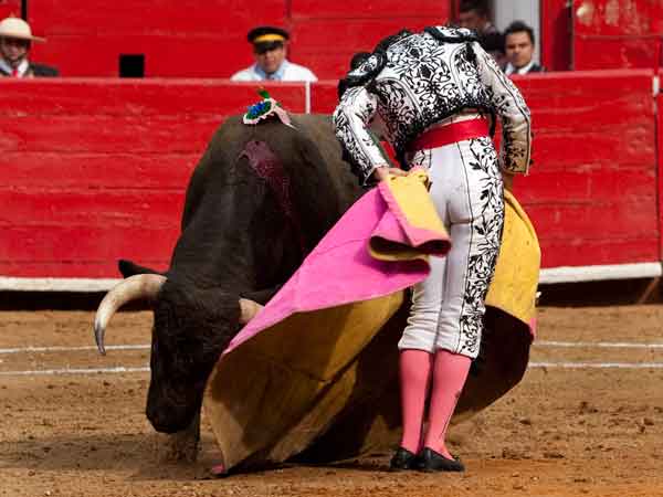 Chicuelina de manos bajas
