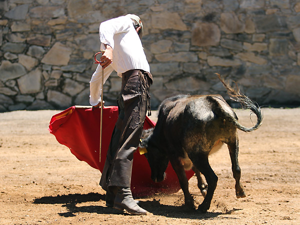 Meti�ndola en la muleta