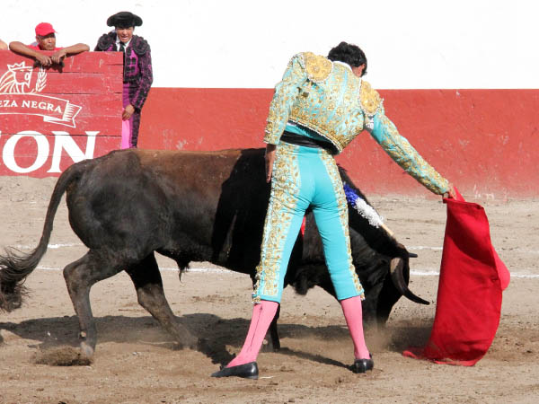 Triunfo de Angelino de Arriaga