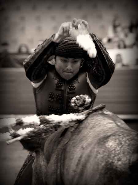 Campos con las banderillas