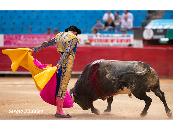 Frausto listo para la alternativa