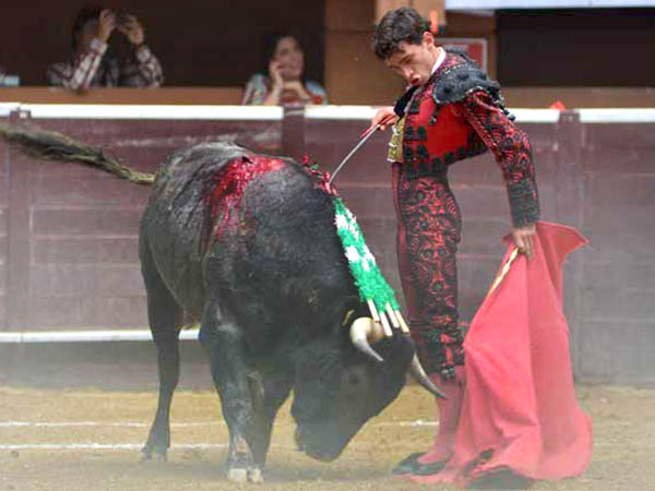 Pinceladas de artista