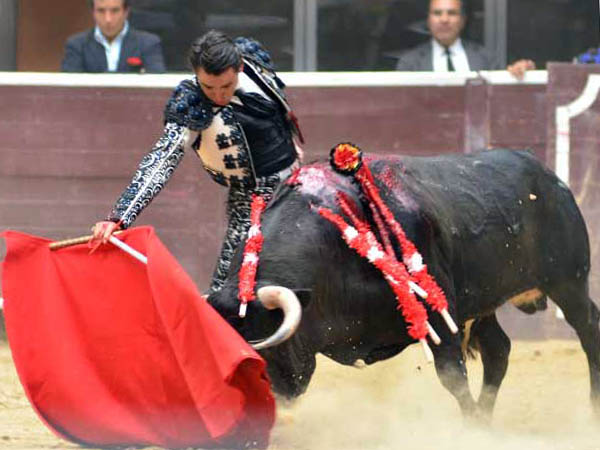 Toreo en la l�nea del ejemplar