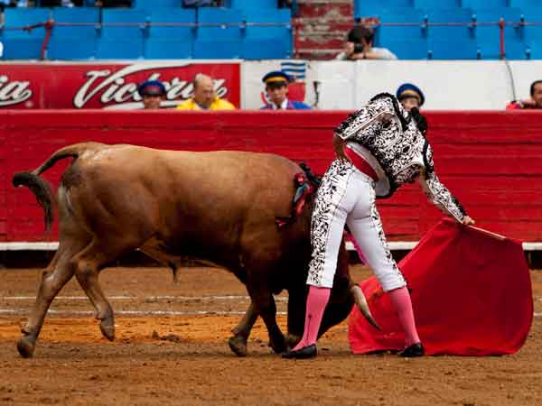 Meti�ndolo en vereda