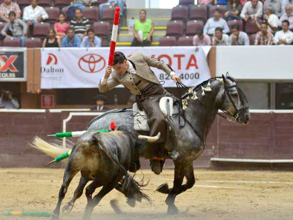 Encelando al ejemplar