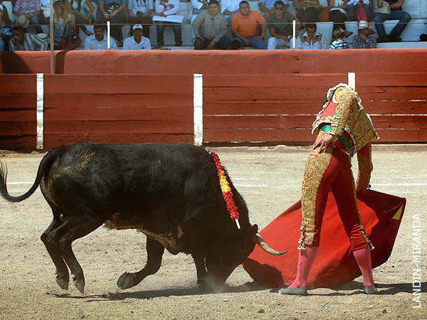 Los belfos en la arena
