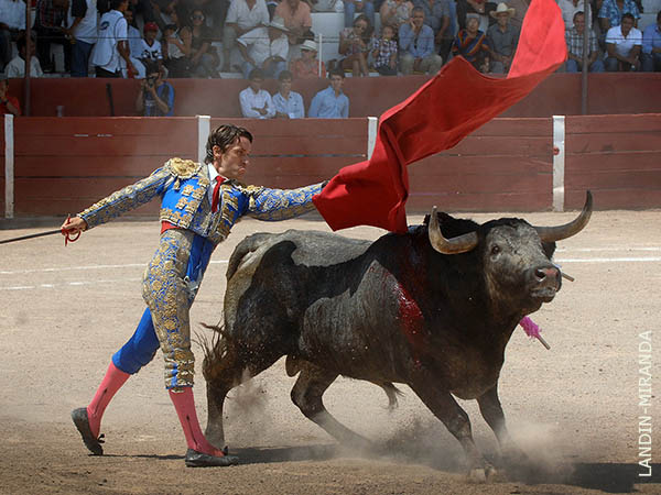 Remate en los medios