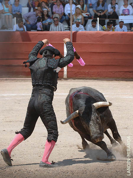 Manolo, a la mexicana