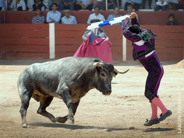 Adolfo S�nchez en banderillas