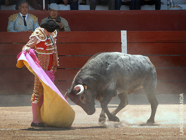 Las ver�nicas de S�lis