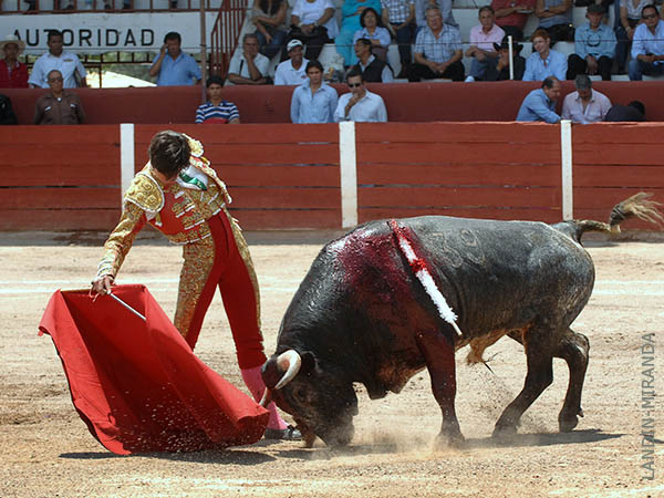 Toreo cl�sico del potosino