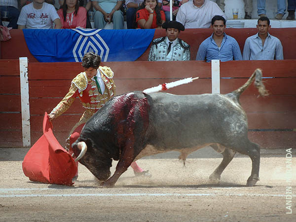 Primeros pases de la faena