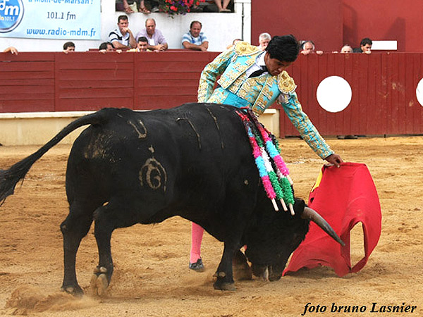 Ech�ndole los vuelos al hocico