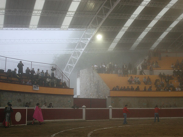 Neblina en el bello escenario