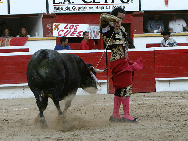 La variedad que estamos pidiendo