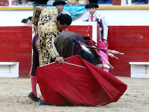 Fundidos, toro y torero