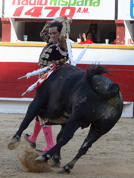 Elegante con los palos