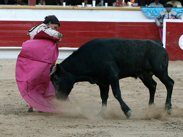 Michelito, por chicuelinas