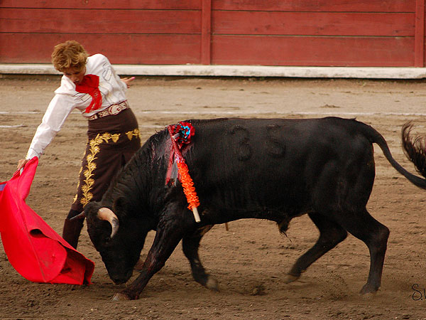 La novillera Melina Parra