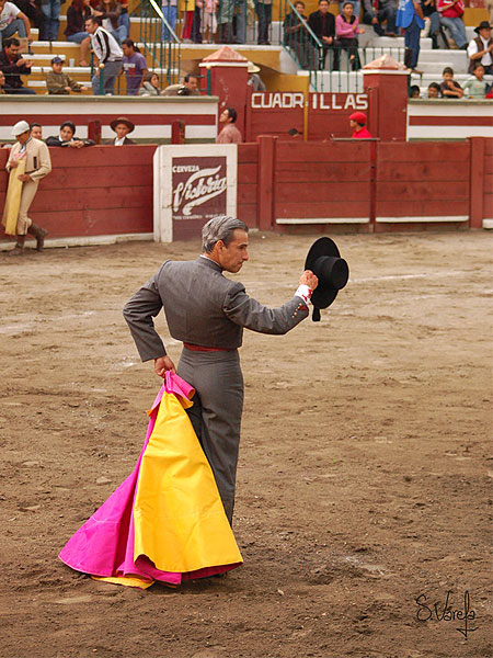 Una ovaci�n en el tercio