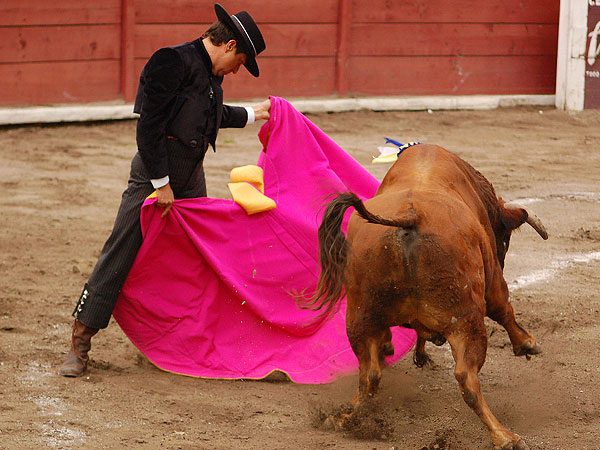 La ver�nica de Hern�ndez