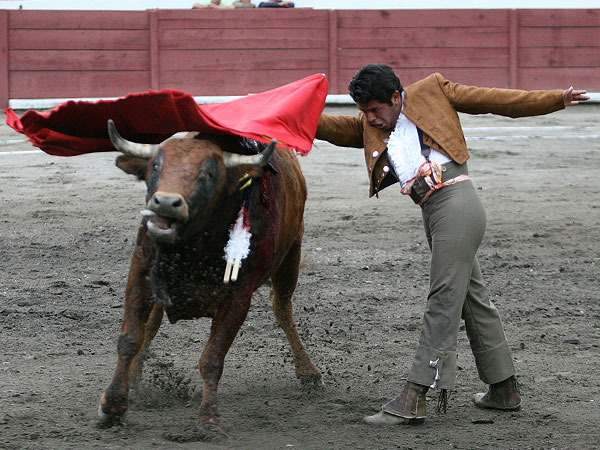 Esforzado pase de pecho