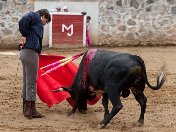 Muy quieto Jos� Miguel Parra