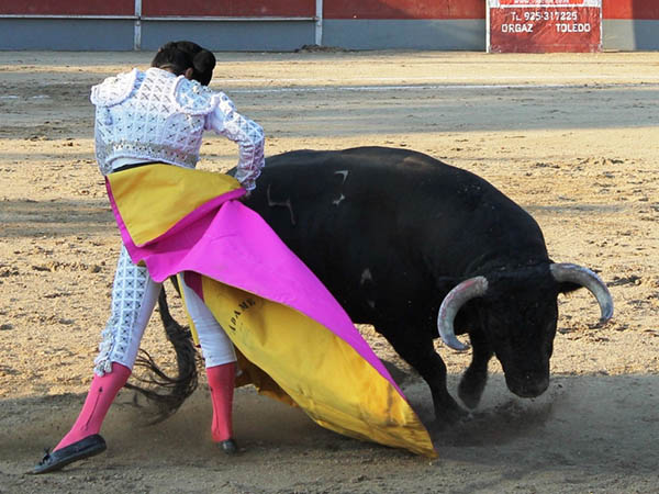 Nuevo triunfo de Joselito