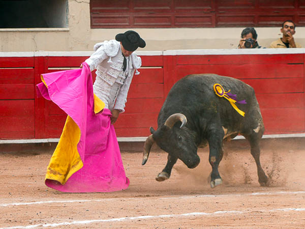 Las vernicas al tercero