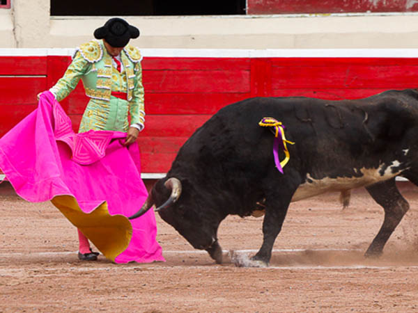 Inici con el sol en lo alto