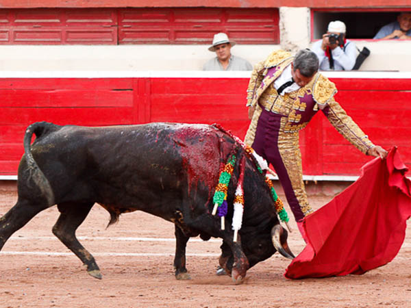 Nobleza del ejemplar