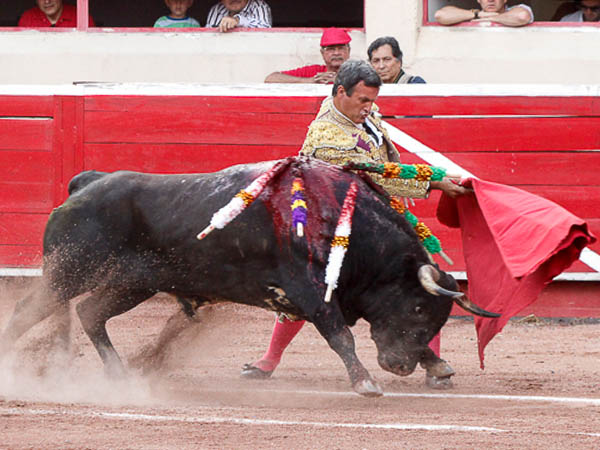 Poco a poco fue ganando calado