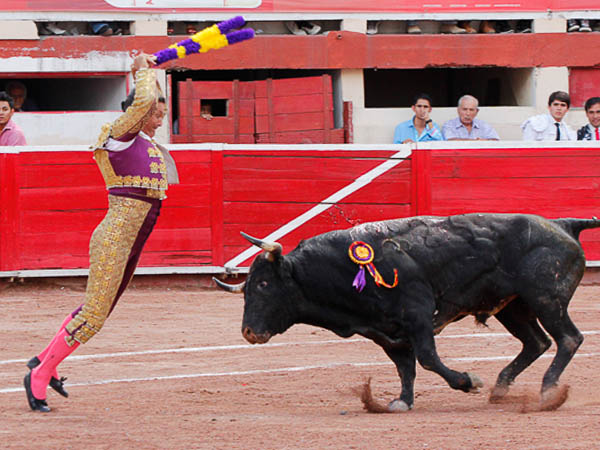 En la cara del ejemplar