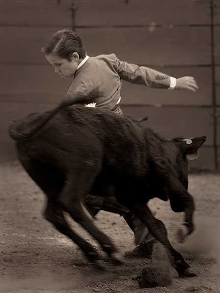Galleando habilidosamente
