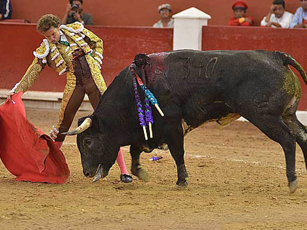 Tirando del ejemplar