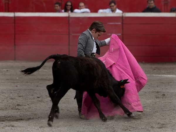 El quite de Juan Pedro Llaguno