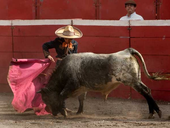 Con planta, porte y gallard�a