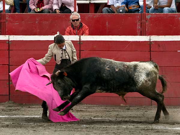 Bien por ver�nicas