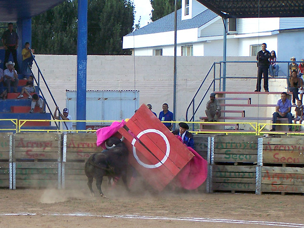 La fuerza de un toro