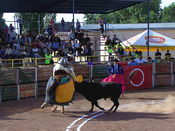 Aguantando la reuni�n