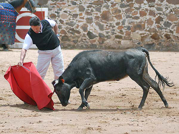 Acariciando la embestida