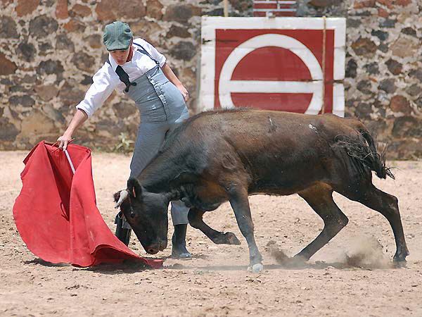 El maletilla H�ctor de �vila