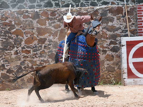 Rogelio, el picador del rancho