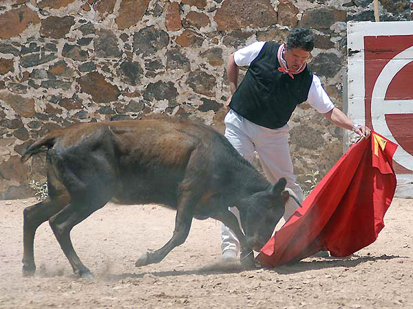 Con los vuelos de la muleta