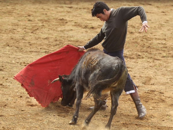 Mentalizado para M�xico
