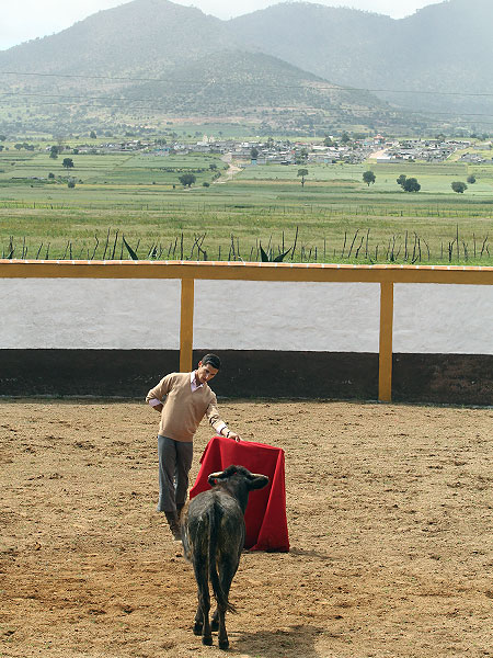 Majestuoso escenario